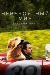 Постер Невероятный мир глазами Энцо, The Art of Racing in the Rain (2019)