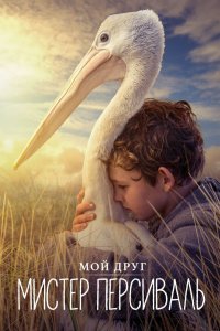 Постер Мой друг мистер Персиваль, Storm Boy (2019)