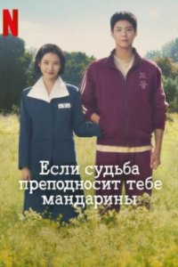 Постер Когда жизнь даёт тебе мандарины, Pokssak sokassuda (2025)