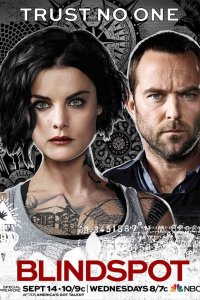 Постер Слепая зона, Blindspot (2015)