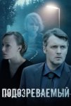 Подозреваемый (2017)
