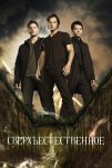 Сверхъестественное (2006)