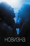 Новизна (2017)