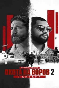 Охота на воров 2: Пантера